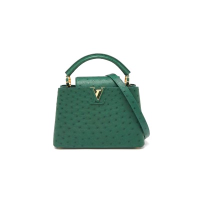 LOUIS VUITTON CAPUCINES BB N89020 (27*18*9cm) LOUIS VUITTON CAPUCINES BB N89020 (27*18*9cm)
